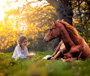 Koń, Drzewo, Łąka, Dziewczynka