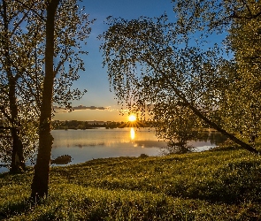 Drzewa. Wschód, Słońca, Jezioro