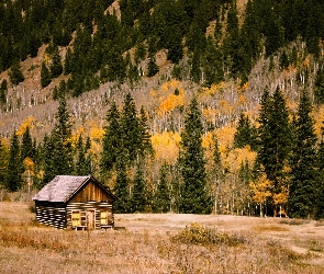 Drewniany, Trawy, Las, Góry, Dom