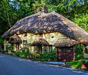 Droga, Drzewa, Przebijające światło, Dom, Anglia