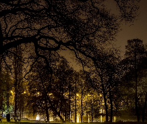 Noc, Światła, Staw, Park, Ławeczka, Drzewa