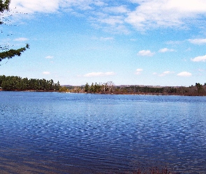 Niebo, Drzewa, Simcoe, Jezioro, Ontario, Kanada