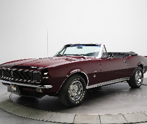Chevrolet, Camaro, Zabytek, 1967, Samochód