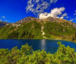 Góry, Jezioro, Tatry, Widok, Na, Lasy