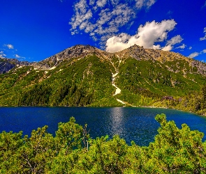 Tatry, Na, Jezioro, Góry, Lasy, Widok
