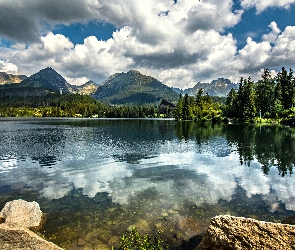 Słowacja, Odbicie, Lasy, Jezioro, Tatry Wysokie