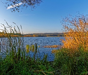 Brzeg, Jesień, Rośliny, Rzeki, Niemcy