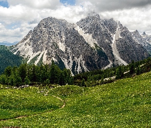 Roślinność, Drzewa, Włochy, Góry, Chmury, Droga