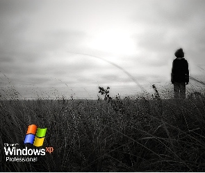 Windows XP, łąka, Człowiek, Professional