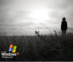 łąka, Człowiek, Windows XP, Professional