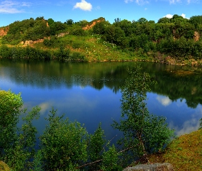Jezioro, Lato, Las