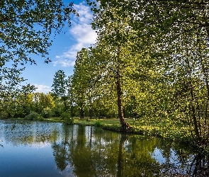 Park, Wiosna, Staw