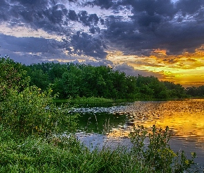 Jezioro, Las, Słońca, Chmury, Zachód, Drzewa