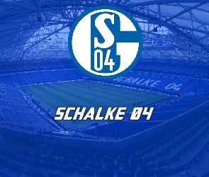 Schalke, Nożna, Piłka
