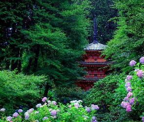 Ogród, Pagoda, Japonia, Hortensje, Kioto, Drzewa