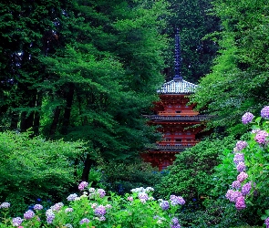Japonia, Kioto, Pagoda, Ogród, Drzewa, Hortensje