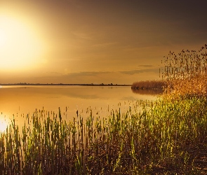 Trawa, Słońca, Jezioro, Zachód