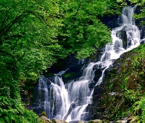 Irlandia, Easach Toirc, Park Narodowy Killarney, Wodospad Torc, Hrabstwo Kerry