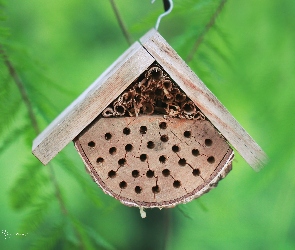 Zapylających, Owadów, Domek, Dla