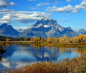 Las, Jezioro, Góry