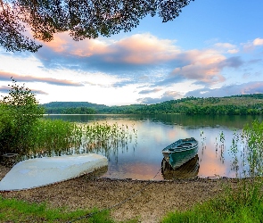 Drzewa, Brzeg, Łódki, Trawy, Jezioro