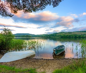 Jezioro, Brzeg, Trawy, Łódki, Drzewa