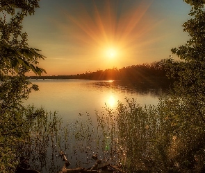 Zachód, Trawy, Drzewa, Słońca, Jezioro