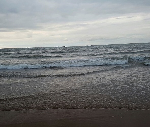 Morze, Fale