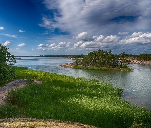 Wysepka, Trawa, Rzeka, Drzewa