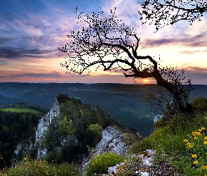 Góry, Skały, Roślinność, Drzewo, Kwiaty, Zachód słońca