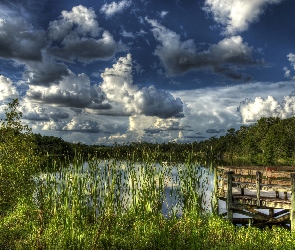 HDR, Roślinność, Zachmurzone, Jezioro, Niebo, Pomost