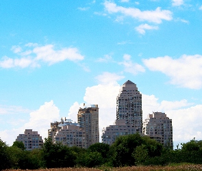 Drzewa, Kanada, Drapacze , Architektura, Chmur, Toronto