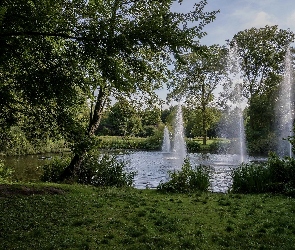 Drzewa, Fontanny, Park, Staw