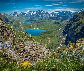 Jezioro, Kwiaty, Góry