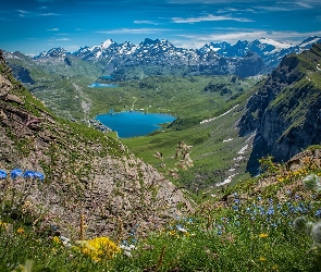 Góry, Kwiaty, Jezioro