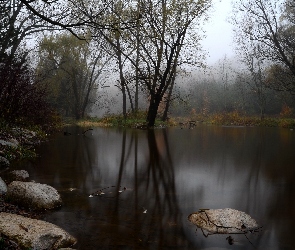 Drzewa, Zmierzch, Jezioro