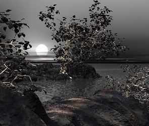 Wektorowa, Drzewa, 3D