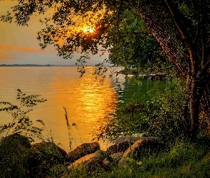 Roślinność, Słońca, Drzewo, Jezioro, Kamienie, Zachód
