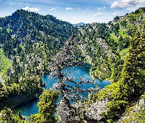 Jezioro, Góry, Las