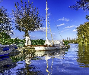 Żaglówka, Drzewa, Jezioro