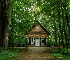 Drzewa, Zielone, Domek, Park, Alejki, Ławki