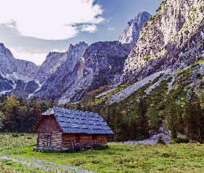 Góry, Drzewa, Ścieżka, Domek