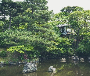 Park, Domek, Kamienie, Drzewa, Jeziorko