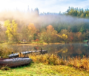 Łódka, Mgła, Jezioro, Las