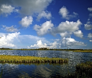 Jezioro, Zarośla, Niebo