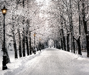 Park, Śnieg, Latarnie, Alejka