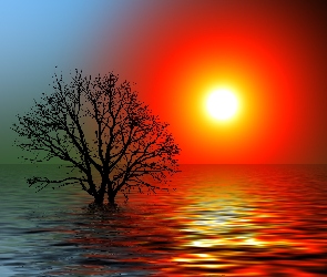 Słońce, Drzewo, Odbicie, Niebo, Jezioro