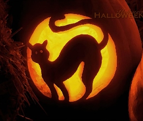 Halloween, kotek