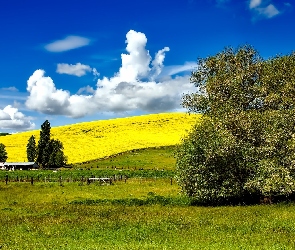 USA, Idaho, Wzgórza, Pola, Łąki, Farma