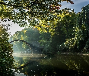 Drzewa, Odbicie, Most, Kamienny, Rzeka